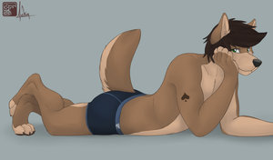 Boxers by Hush