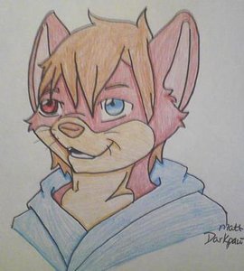 my fursona by AlucardHSwolf