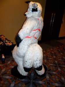 I is a good gift? by Akavar