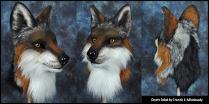 Coyote Head by Frazzy626