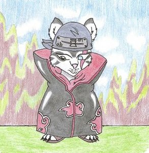 Frosty Akatsuki "color" by FrostbiteTiger