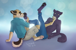 Paws by Haska