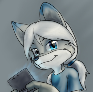 My New 3DS! by MaverickSkye