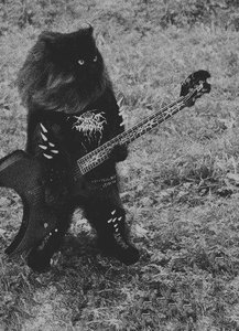Black Metal Cat :-) by GothBear1
