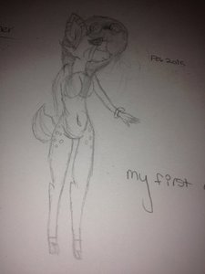 My furry character, Summer by HollowMittens12