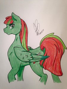 OC-Quickdraw Hawkshot by Nisabu