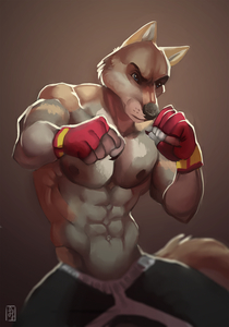 Fighter by LittleFreckles