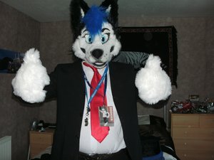 PHOTOGRAPH - Dodger Husky by coltonwulfpaws