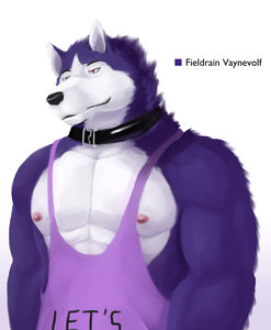 Fieldrain Vaynevolf by FieldrainVaynevolf