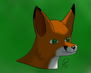 Red Fox Headshot Practice by TheDreamFox