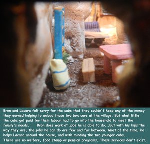 Meerkats Hard Way of Life in Angola [Page 3] by moyomongoose