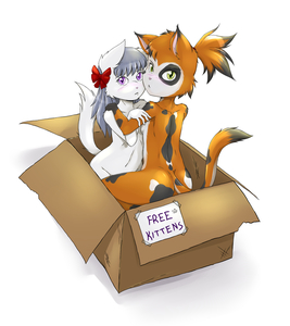 Free Kittens by RisingDragon