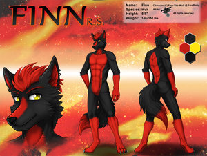 ref375/ Reference: Finn by darkgoose