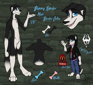 Danny Xander Ref Sheet (safe) by DannyTheBorderCollie