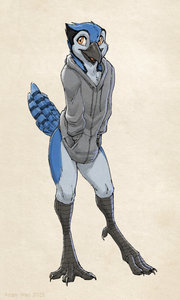 BJ Hoodie by Zaush