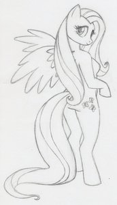 Fluttershy anthro sketch by DAQ