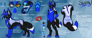 Shadow Sidorov Reff Sheet by HunterStirling