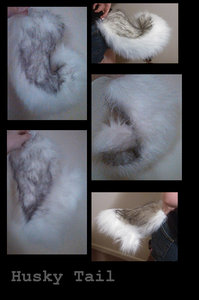 Husky Tail by AndromedaYuki