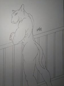 Roman Nose Bull Terrier by DiegoPaws