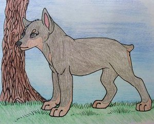 Novah girl by Maalise