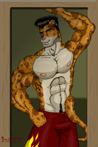 Cheetah Boy by Hazy