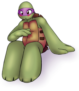 turtle tot donatello by shifteranima