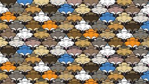 Sleeping Foxes Wallpaper by AlbinoFromAbout