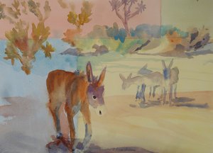 "Desert Burros" by EloeElwe