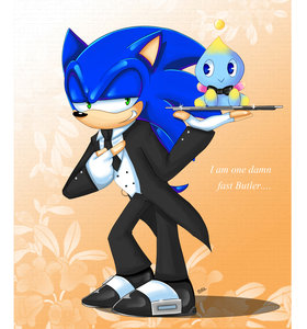 Sonic: Your Chao by Mog17