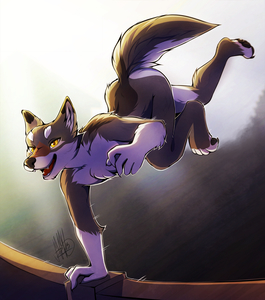 [NMA] Bounce by Talynwolf