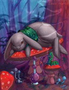Sleepy time in wonderland by tavisharts