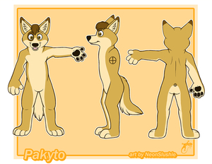 My Character Sheet ! by Pakyto