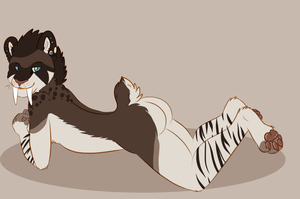 sexy sabor co by Knopf