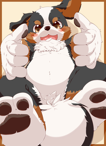 BMD by okunawa