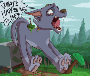*C*_Big puppeh Rocky by Fuf