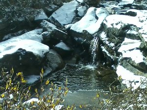 snow falls by slith