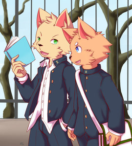 Chat by Shinrin