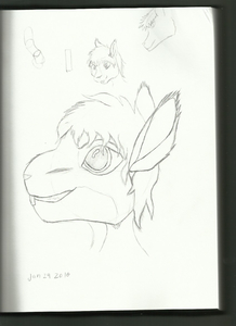 kit nomara traditional drawing #1 by wolfpup