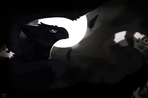 Gift Art From Nonus - Light and Darkness by faunoiphilia