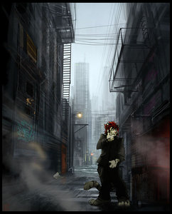 Kuma Commission 'A.C.W.' (Alley Cat Version)  by aceywinters