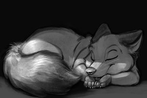 R&R by Carrot