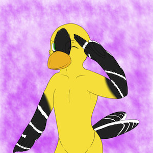Birdsona - From the hips by AlanNicolasWolfsheim