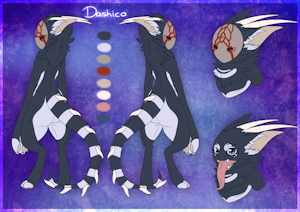Dashico by kittyheadcase