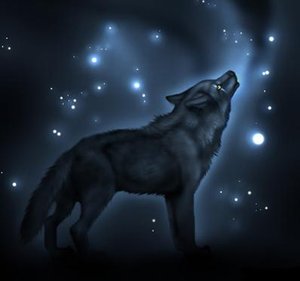 Shadow by link324
