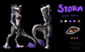 Storm Ref SFW by Rydenan