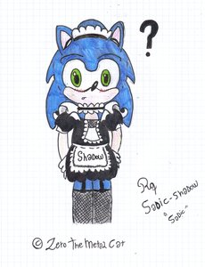 Sonic Maid RQ by ZeroTheMetalCat