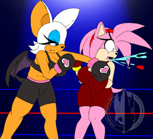 Boxing Gals by SinShadowed