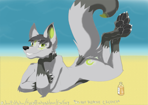 Oposum - Beach Time by Oposum