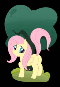 flutter by thegalen