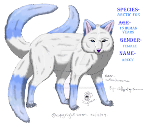 Commission 4- Amaskia by CatwingFluffypaw